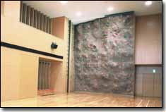 クライミングウォール